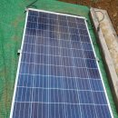 태양 1농장 이미지