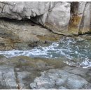 옵타티오 이미지