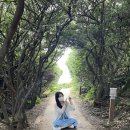 위미위드미 게스트하우스 이미지