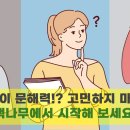 책나무독서논술학원 - 은평구 은평로3길 18-1 | 책나무독서논술학원
