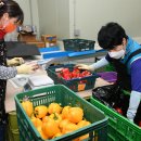 평창농협 APC 이미지