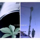 갓골농장 이미지