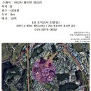 팔탄주유소 Daum카페