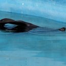 달성공원관리사무소 이미지