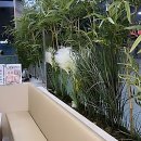 거기그곳에 | 창원네일 대란 났던 그곳 후기 터트림!