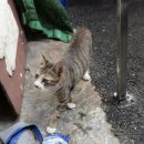 부영국밥 | 부산 1박 2일 먹부림 여행 즐기기 (장어구이꼼장어 부영집/연지가양곱창/남포동포차/가마솥돼지국밥...