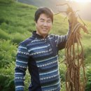 팔랑농산