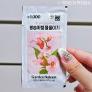 봉숭아손톱 이미지