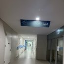 다루 | 서울 금천구 애견미용실 다루이뽀글 비숑 스포팅 후기