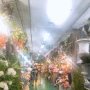 주식회사 도기플라워 | 촬영 소품사러 - 고속터미널 꽃상가 방문