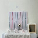 도기로움 이미지