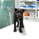 이섭대천로 이미지