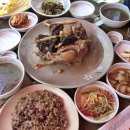 감나무백숙식당