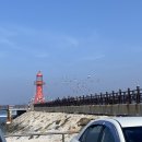석구네회집 | [화성/제부도] 제부 꼬리길 걷기/ 제부도 칼국수 석구네횟집 후기