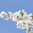 남양고등학교 이미지