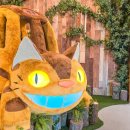 두루두루(도토리마을) 이미지