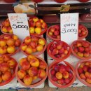 대영청과 이미지