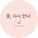 꽃다시만나
