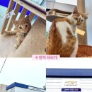 한국지엠평택지정서비스 이미지