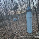 금부사 | 도정궁 사손 증 이조판서 이명회 묘(贈 吏曹判書 李明會 墓)