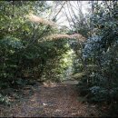 한라산 제2농장 이미지