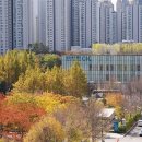 땅조경 이미지