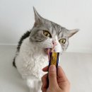 해피그루밍 | 고양이 스트레스 완화, 펠리웨이 해피스낵 기호성&amp;효과 후기