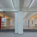 스타복싱클럽 연천 이미지