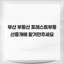 포레스트부동산중개 | 부산 부동산 포레스트부동산중개에 맡겨만주세요