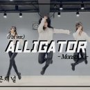 심장튀어나올뻔했던 몬베베 Alligator 커버댄스 (영상있음) 이미지