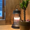 스테이50100 이미지