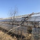 마송농장 이미지