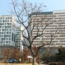 가든공인중개사사무소 이미지