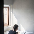 스테이선명