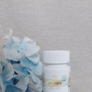 슬로잇 | 방지영양제 피로회복영양제 수면영양제 수면유도 항노화 주름개선 부모님선물 불면증영양제 - 슬로어클락