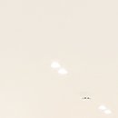 서울유플란트치과의원 이미지