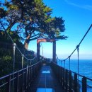 옵티마대학약국 이미지