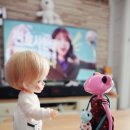 와니주니