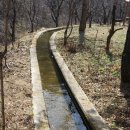 양양군양양댁 이미지