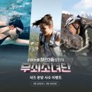 주식회사 코리아스윔팀 이미지