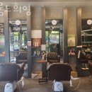 살롱 드 희영