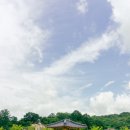 함양초교 | 동화같은 풍경의 &#39;함양 상림공원&#39;