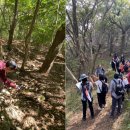 종로-현장-종로-세-203 이미지