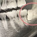 갈릴리치과의원 이미지