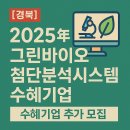 D-12 티스토리
