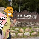 영주골부부네 | 소백산 등산 1박2일 우중 산행기 | 죽령~비로봉 등산코스 연화봉 대피소 숙박 (25.10.8~10.9)