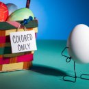 테리보더의 먹고+즐기고+ 사랑하라 이미지