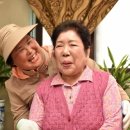 (주)한국야구르트