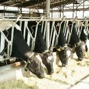 제승목장 이미지