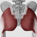 1RM 휘트니스 이미지